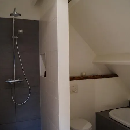B&B Groen 하를렘