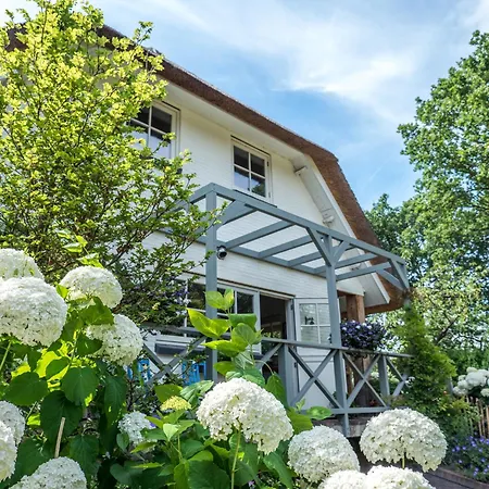 Groen B&B 하를렘
