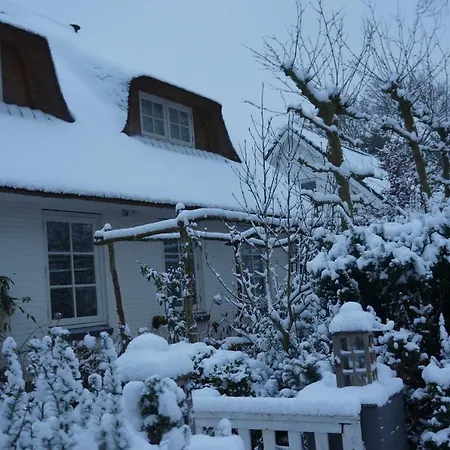 Groen B&B 하를렘
