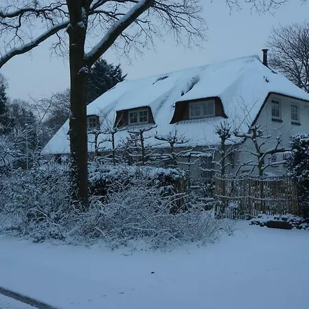 Groen *