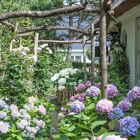 Groen Frühstückspension Haarlem
