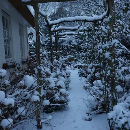 Groen Haarlem